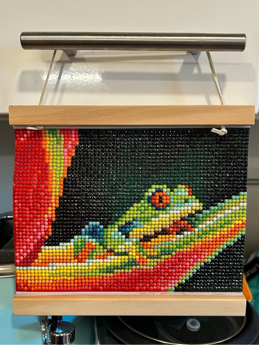 Finished Tree Frog Diamond Art Painting (Ready to Hang Frame Included)